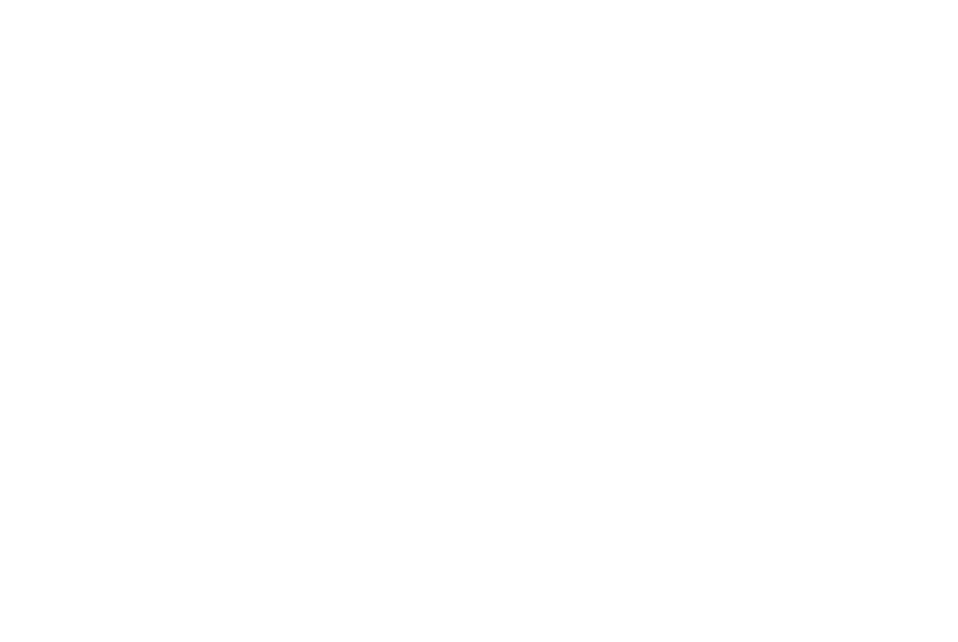 The Village Spirit Collective