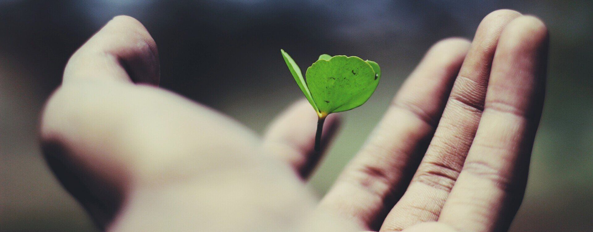 Retrouvez la motivation et  l'énergie pour passer à l'action grâce au Growth Mindset