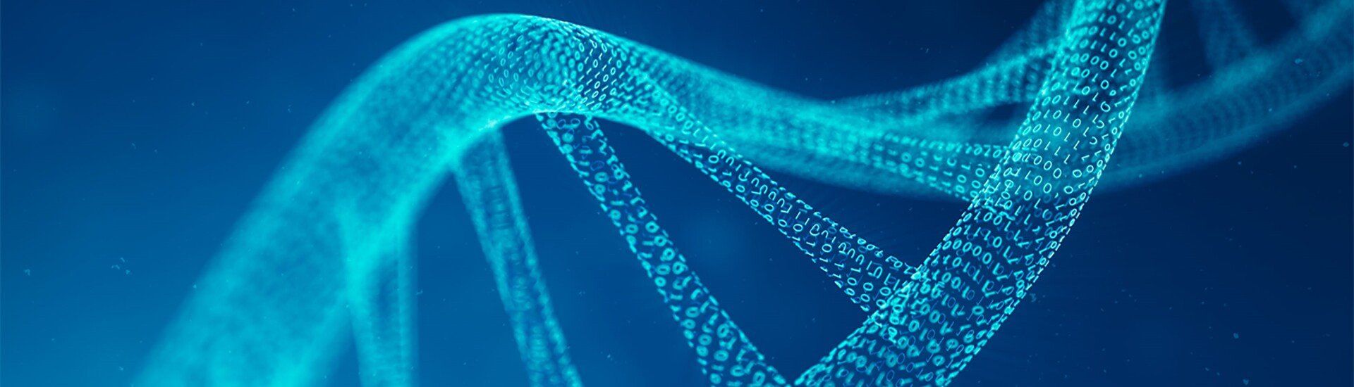 Genossenschaften neu entdecken und gründen