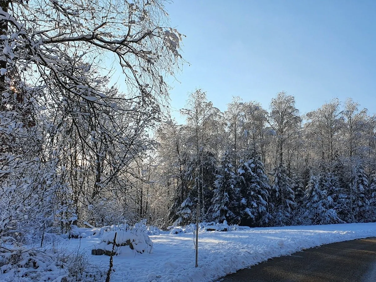 Winter in Fürstenzell Winter Rehschaln Altenmarkt Fürstenzell