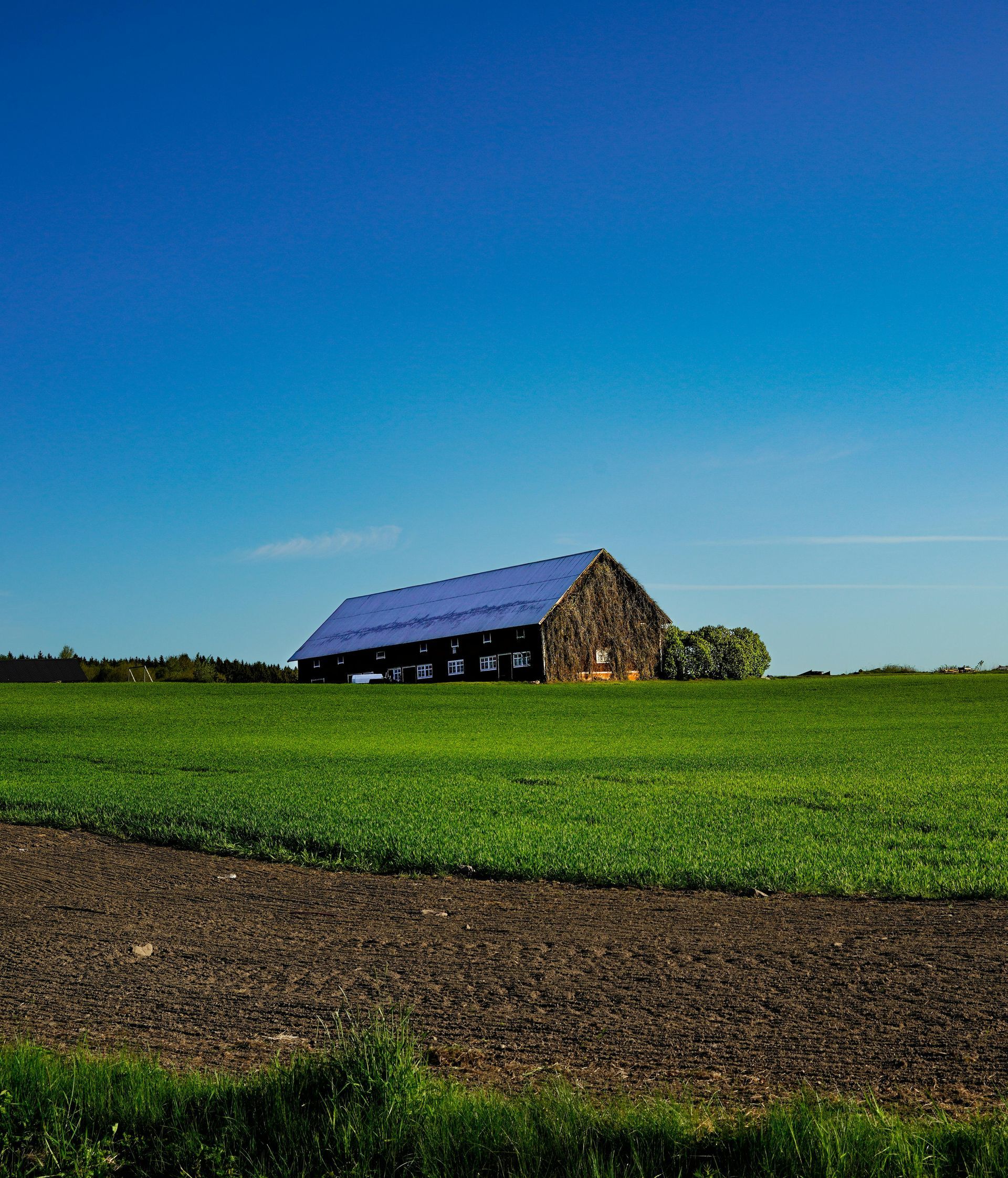 Ancien bâtiment agricole isolé en zone agricole, transformé en habitation.