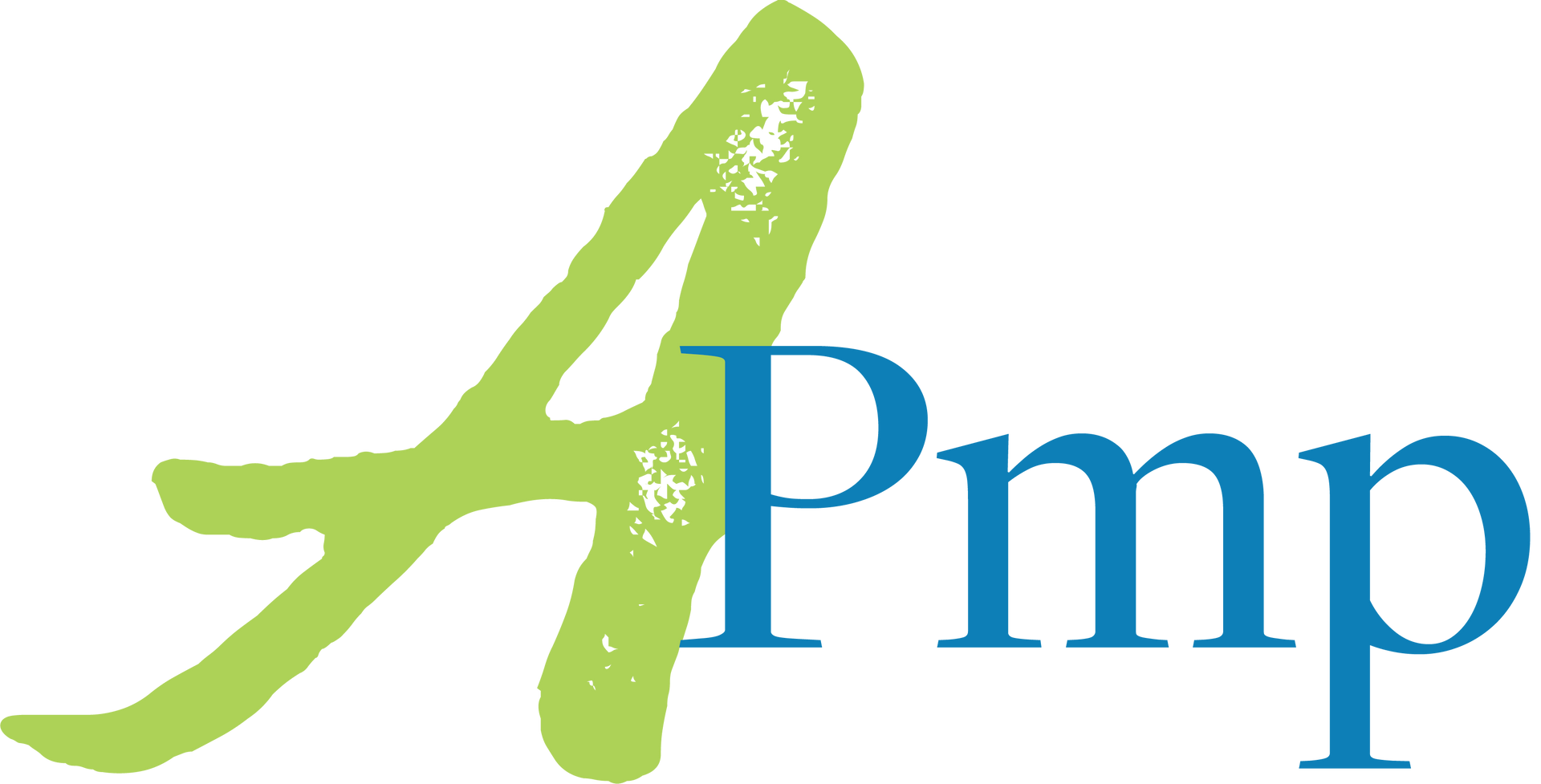 Logo Association PMP Logo Association PMP