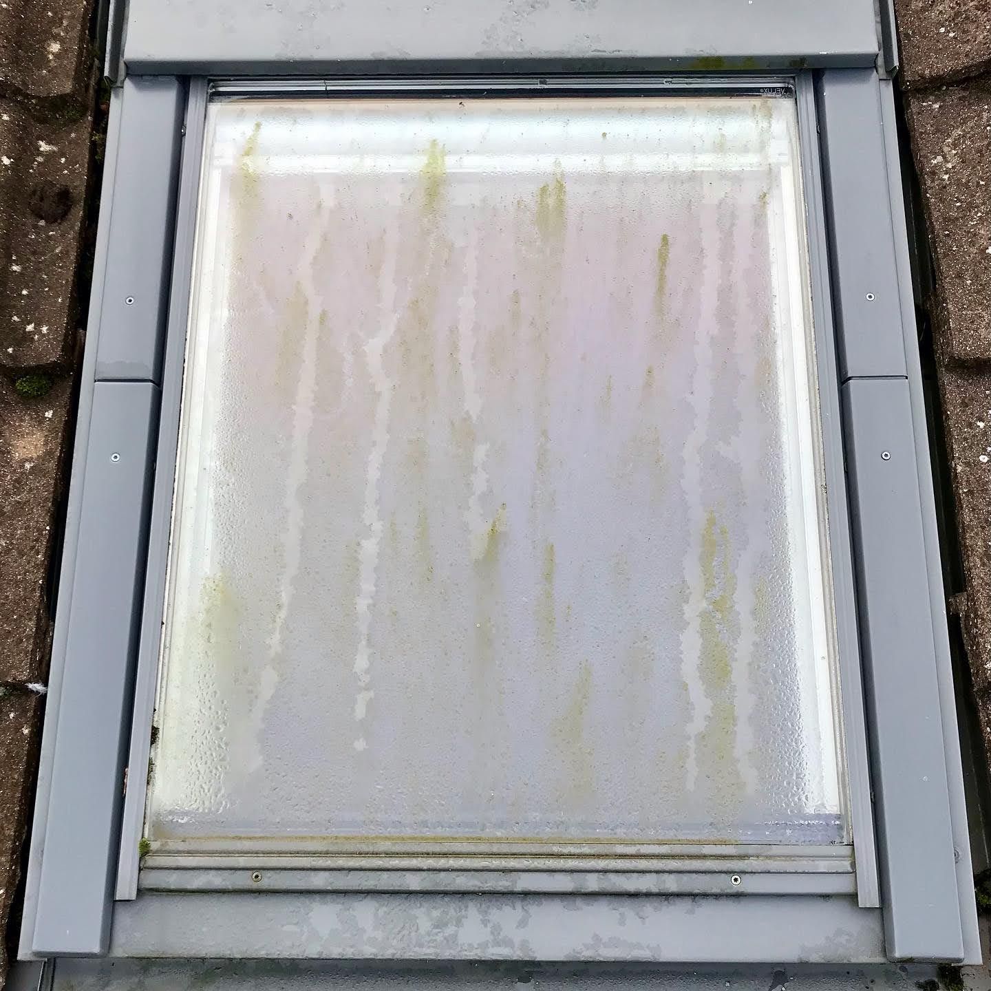 Windows cleaned by White Water Window Cleaning