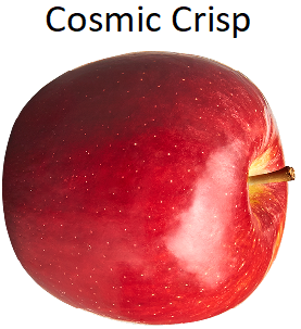 Designerapfel Clubsortenapfel