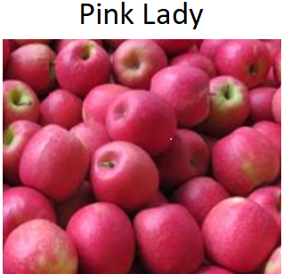 Designerapfel Designerapfel und Clubsorten