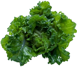 gesunder Salat im Vitaltreff
