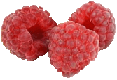 Beeren bio Nahrungsergänzungsmittel