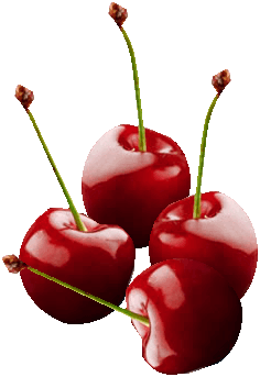 gesunde Kirschen im Vitaltreff