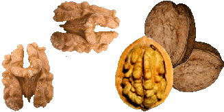 mit Vitamin D und Calcium keine Muskelschmerzen