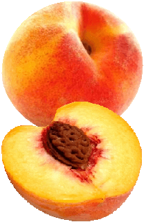 gesunden Pfirsich essen