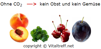 ohne Kohlendioxid gibt´s kein Gemüse