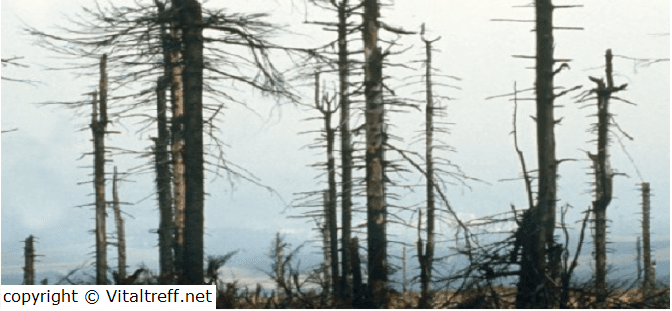 keine Treibhausgase verursachen Waldsterben