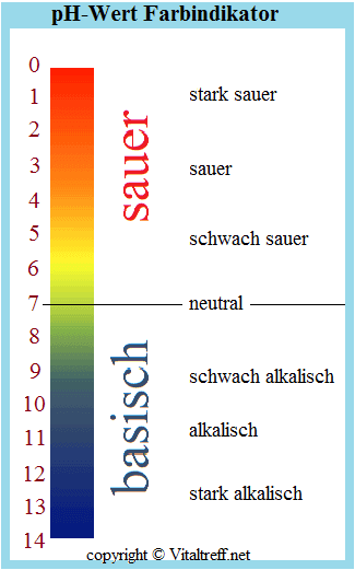 Körper entgiften und entschlacken