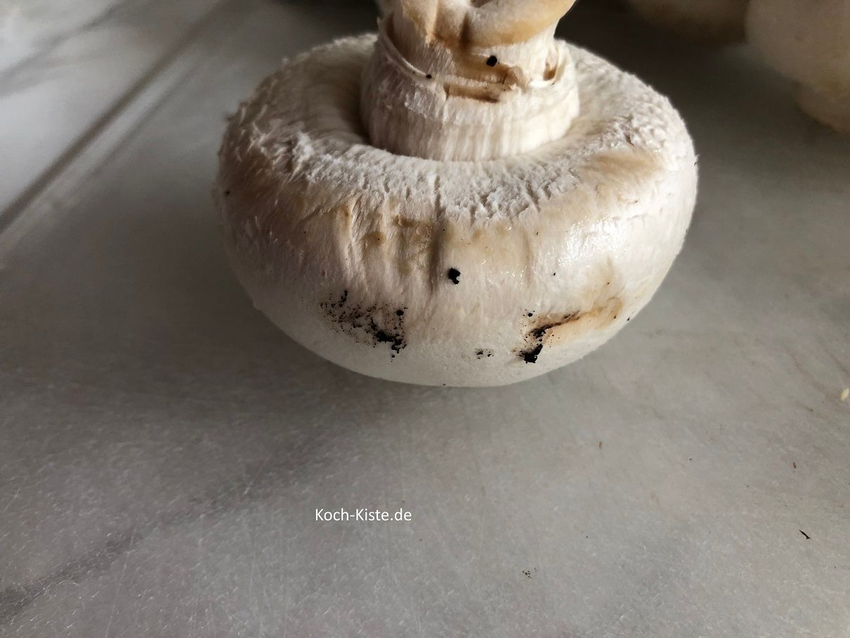 Champingnon von allen Seiten kontrollieren