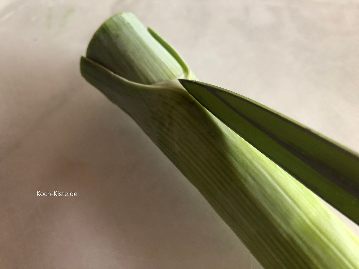 Porreestange am oberen Ende schräg einschneiden