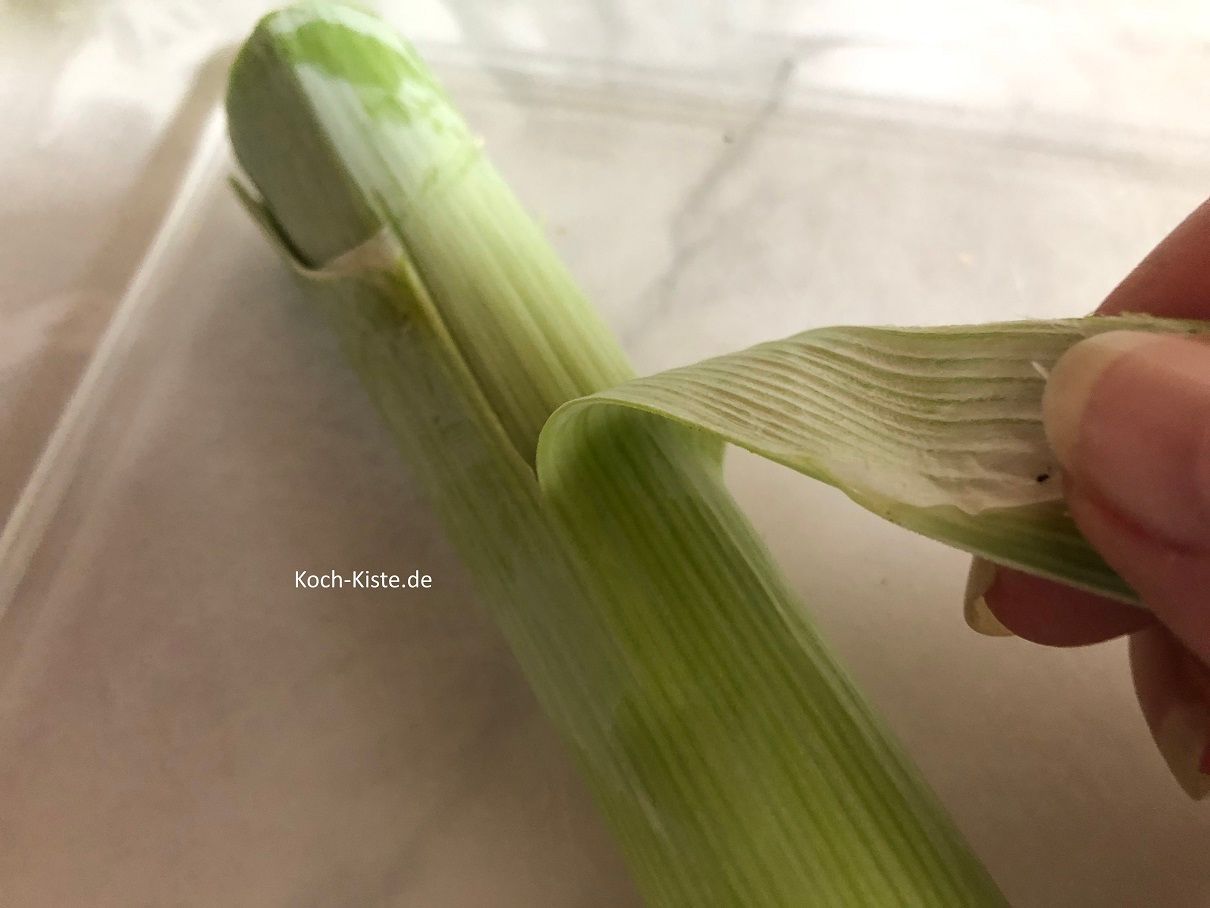 und die äußere Haut nach unten hin abziehen