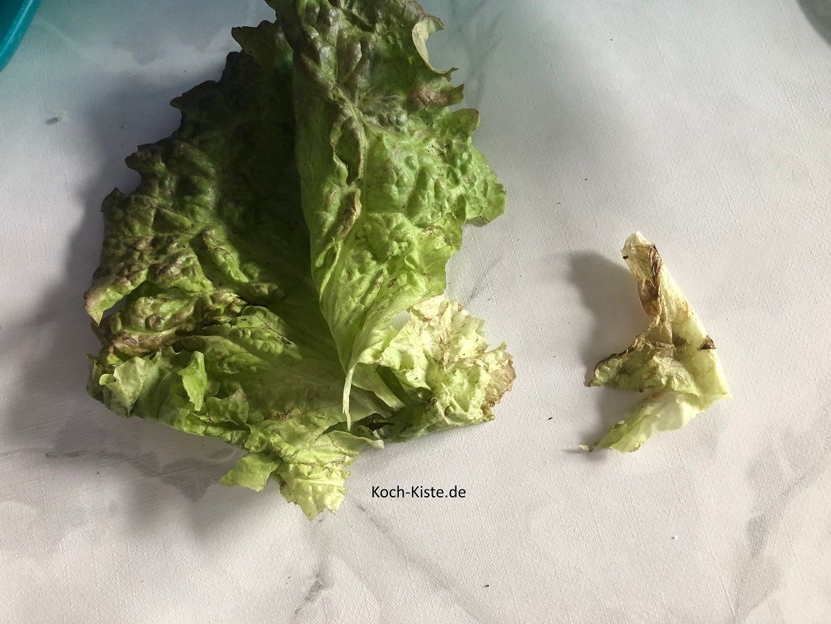 dann harte Teile ( ganz unten) und eventuell vorhandende unschöne Blätterteile entfernen