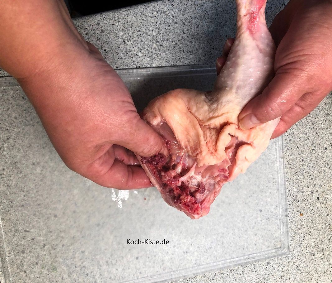 Beginne damit das Hähnchenbein unter kaltem, fießende, Wasser abzuspülen. Dann lege deinen Daumen auf der Rückseite des Hähnchenbeines in den Spalt