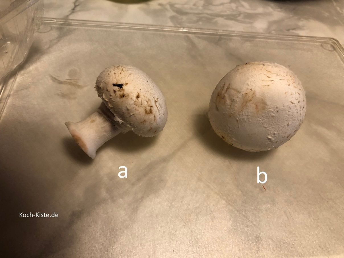 lege Dir die Champignons einzeln vor Dich (a) und wische mit einem Küchenpapier eventuell vorhandende Erdreste ab (b)