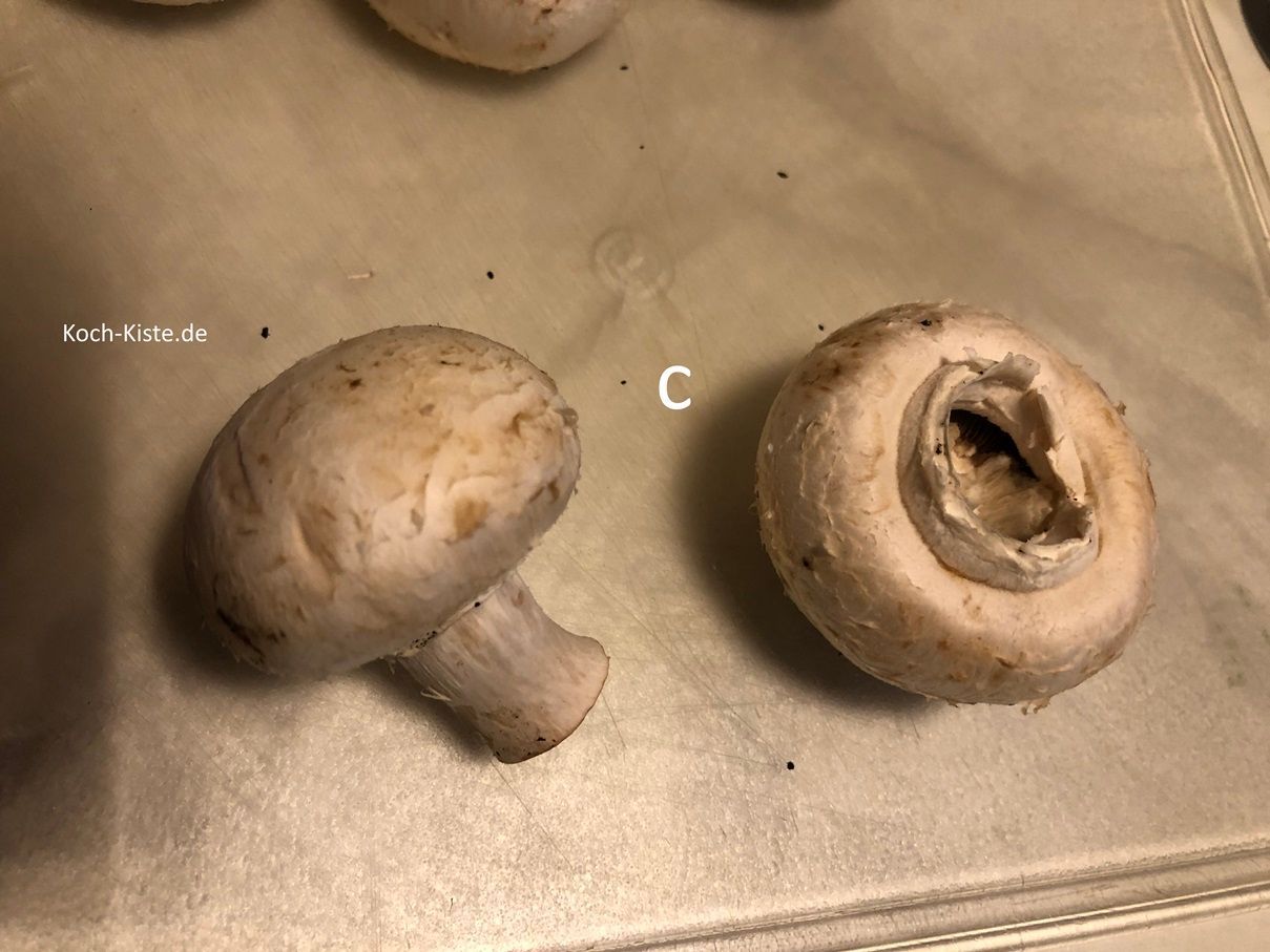 dann breche den Pilzfuß heraus (c)