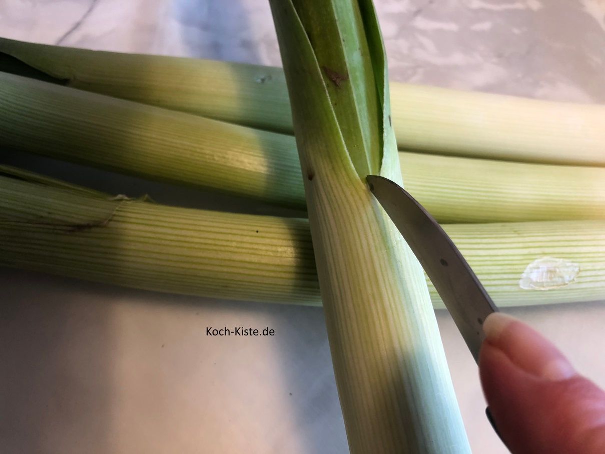 als nächstes schneidest Du mit einem Messer oben am Grünansatz einmal schräge ein