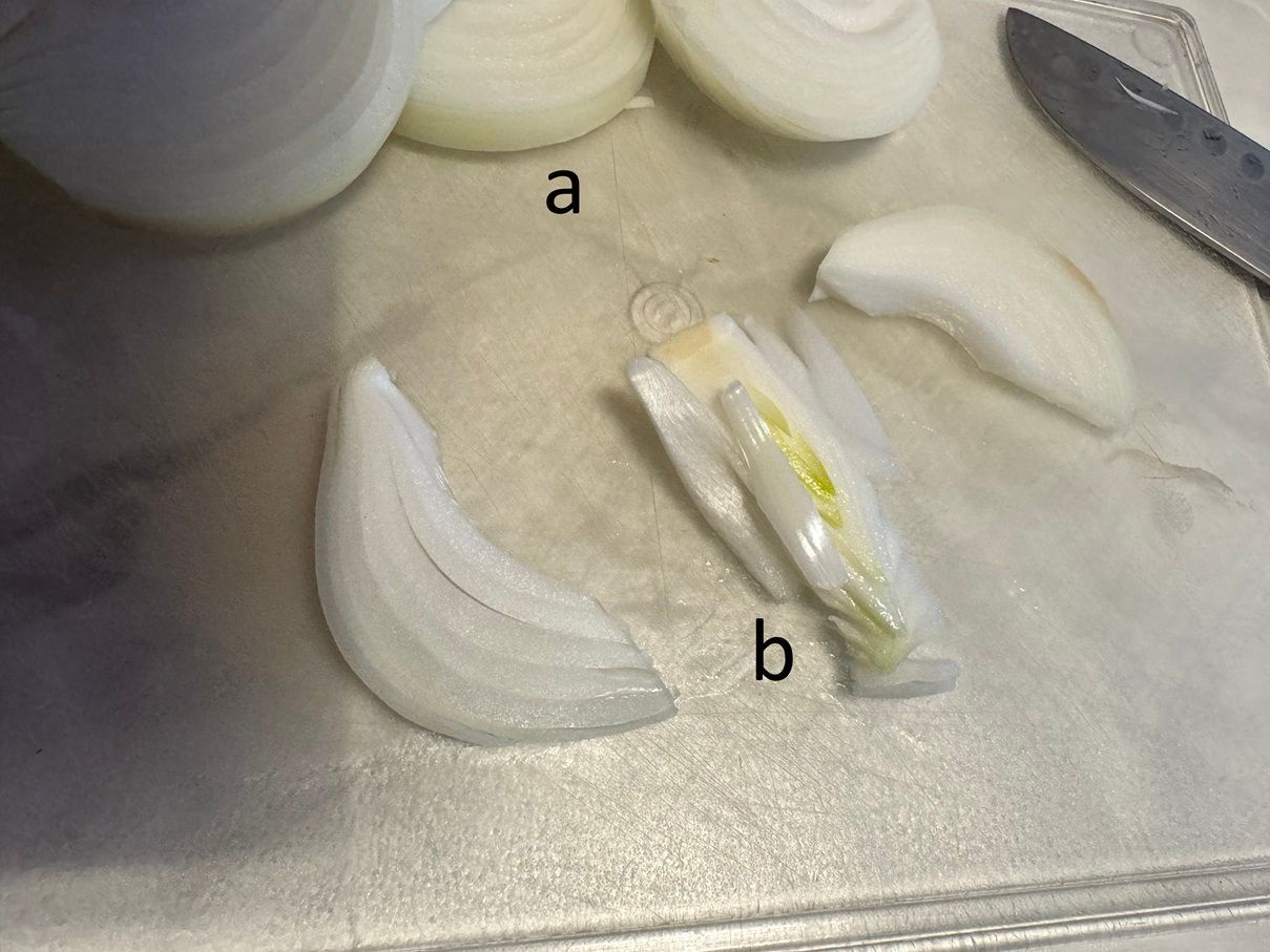 dann schneide die Füllzwiebel in Scheiben (a) und entferne den Zwiebelkern (b) , das ist der trockene weiß-gelbliche Kern