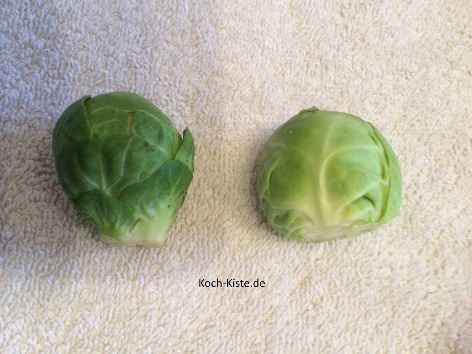 an der Bruchstelle unten ein Stück entfernen