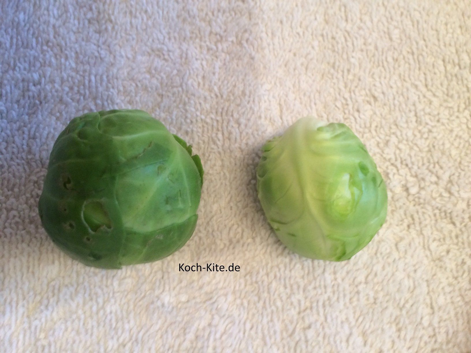 die obere Schicht Blätter entfernen