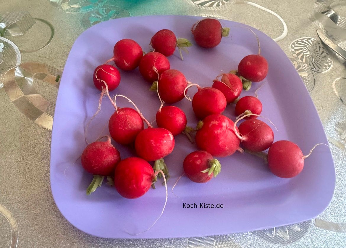 Entferne bei den Radischen erst mal grob die Blätter oben