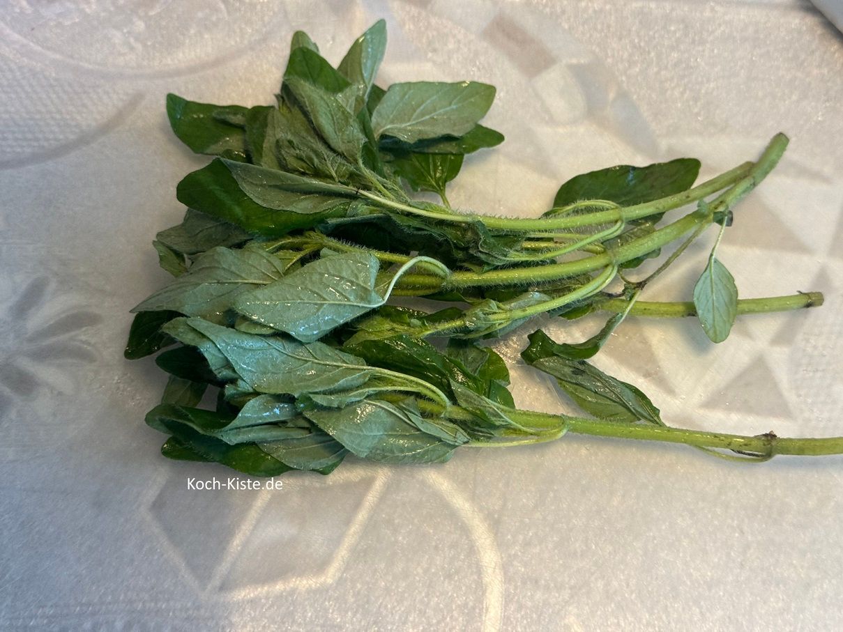 nehme den frischen Oregano, spüle ihn unter kaltem, fließendem Wasser ab, schüttel ihn trocken und lege ihn auf das Schneidebrett