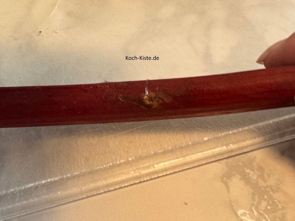 dann kontroliere die Rhabarberstangen auf kleine Stellen