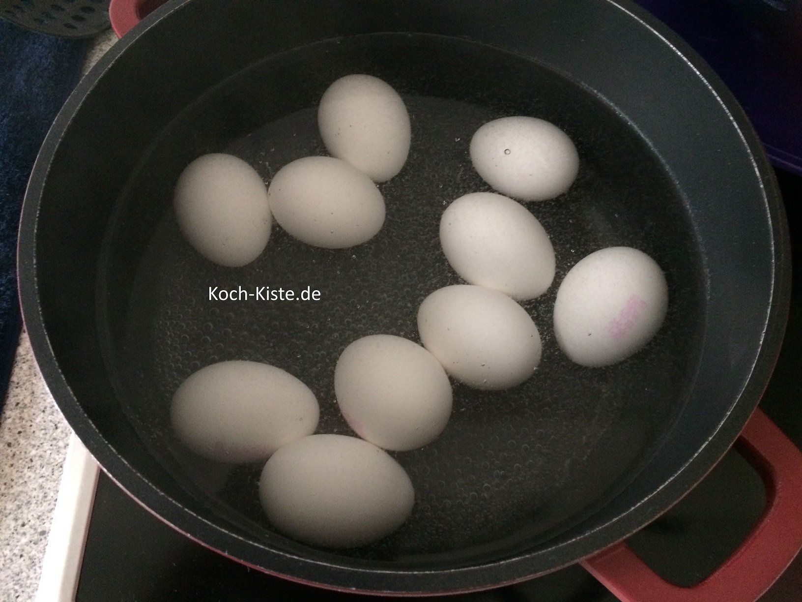 Eier hart kochen