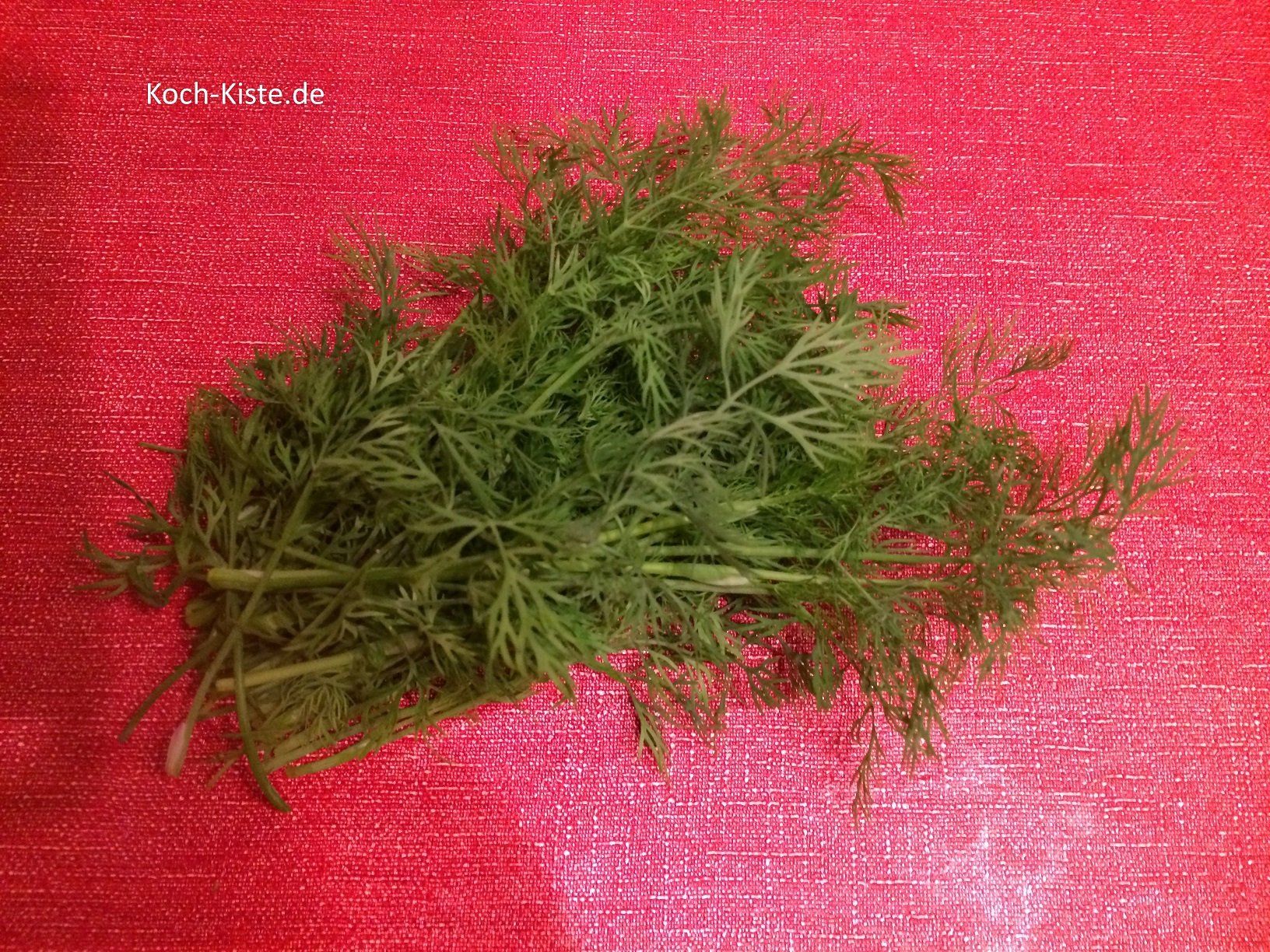 schneide die benötigte Menge Dill vom Kräutertopf ab und bearbeite ihn nach Anweisung