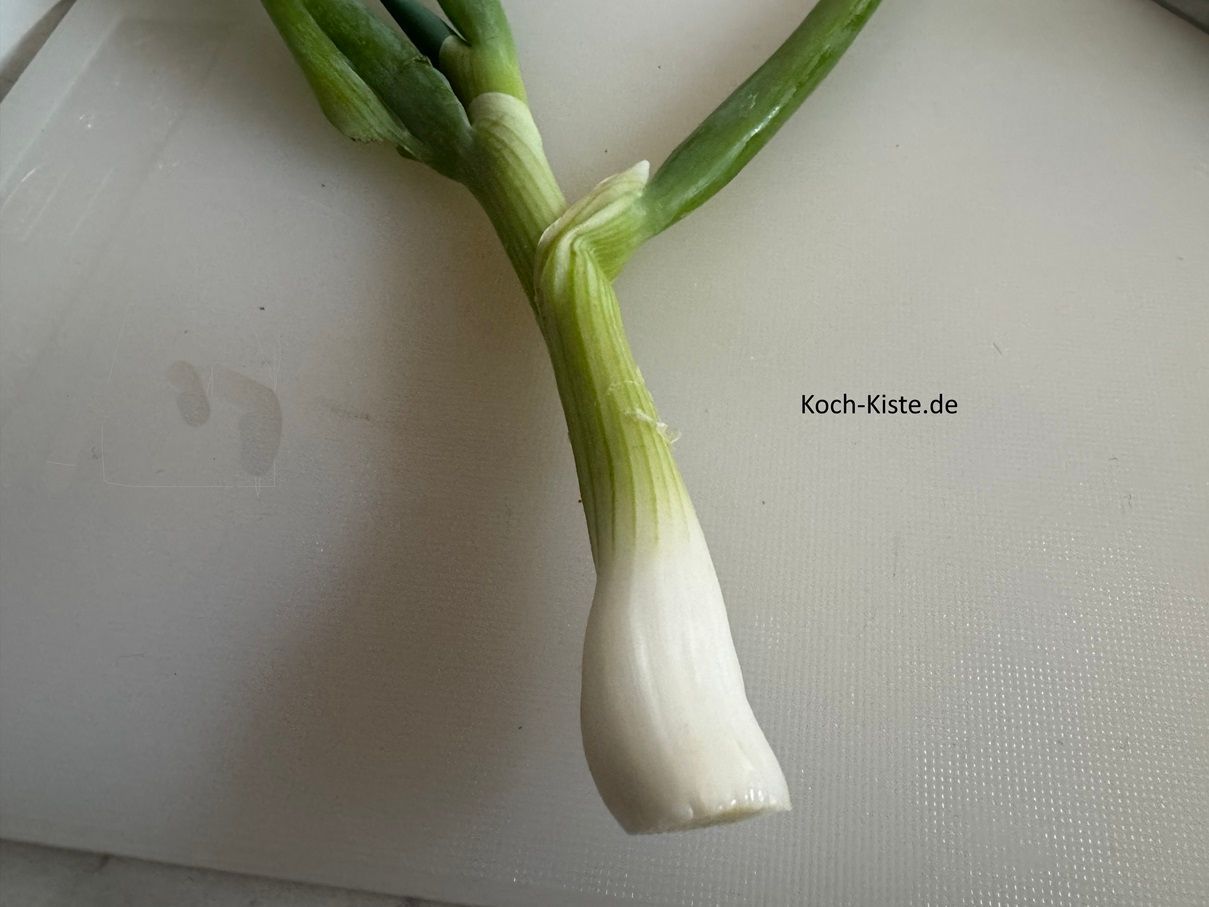 nun nehme ein Blatt und ziehe es nach unten hin ab - sollte das nicht gehen - schneide leicht schräge die äußere Schicht ein