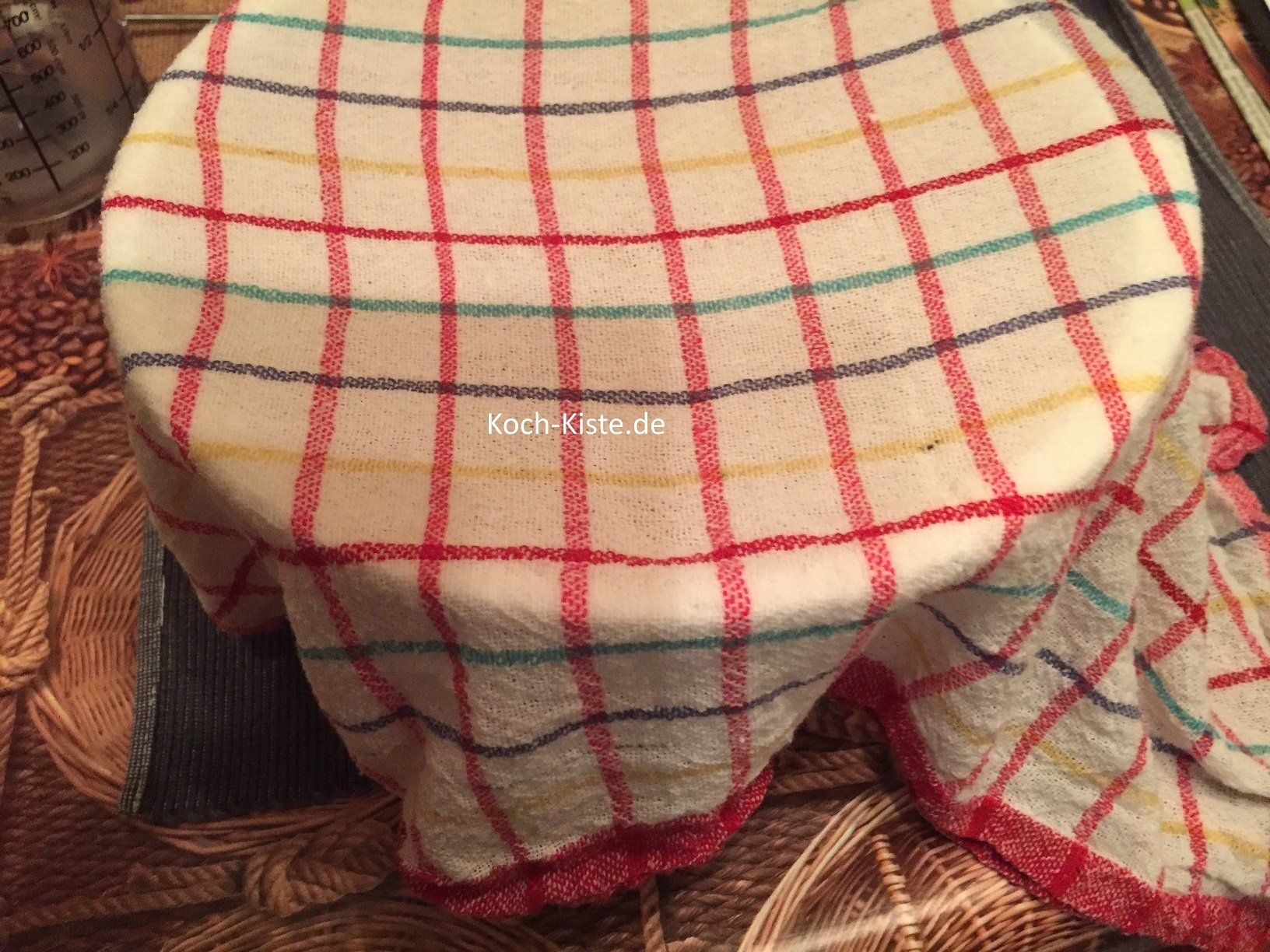 Rührschüssel mit einem frischen nassen Geschirrhandtuch abdecken, in den Backofen stellen und den Teig gehen lassen.