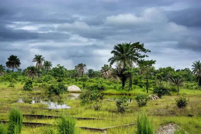 solar energy Guinea-Conakry, énergie solaire Guinea-Conakry