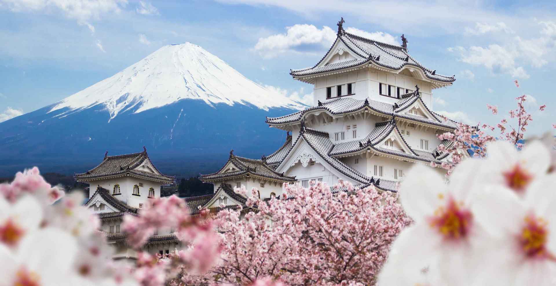solar energy Japan, project development solar Japan