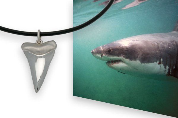Weisser Hai Zahn, Silber 925 Weisser Hai Zahn - Taucherschmuck von Stefan Wiessmeyer