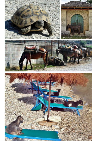 Albanien 99 Fakten