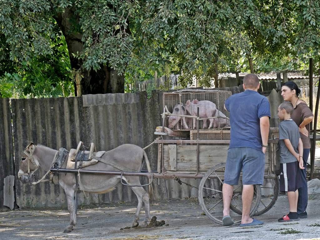 Georgien Markttag in Tsnori