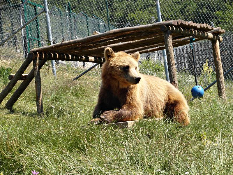 Kosovo Reisen, Urlaub, Reiseführer, Bärenwald Prishtina