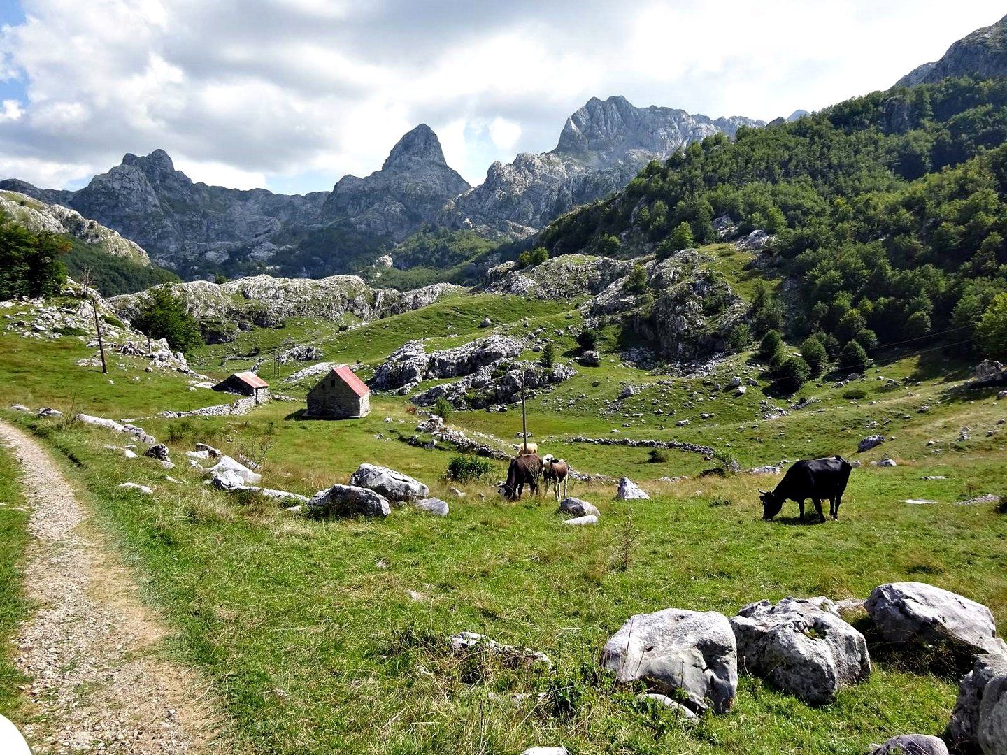 Montenegro Offroad-Tour 4x4 Selbstfahrer