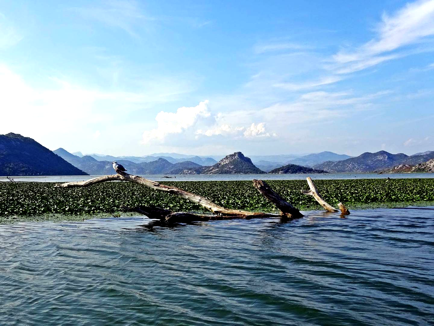 Montenegro Reiseführer und Touren, Skadarsko jezero
