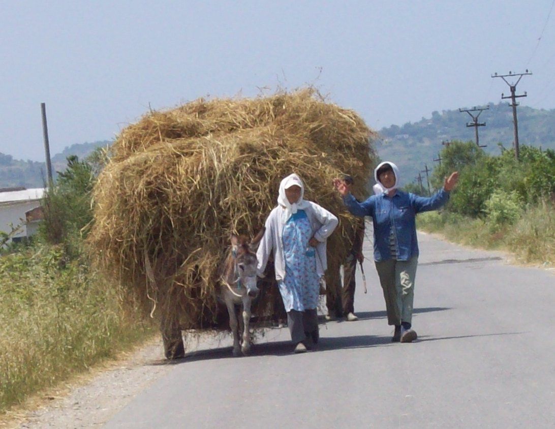 Albanien - Reiseführer und Touren