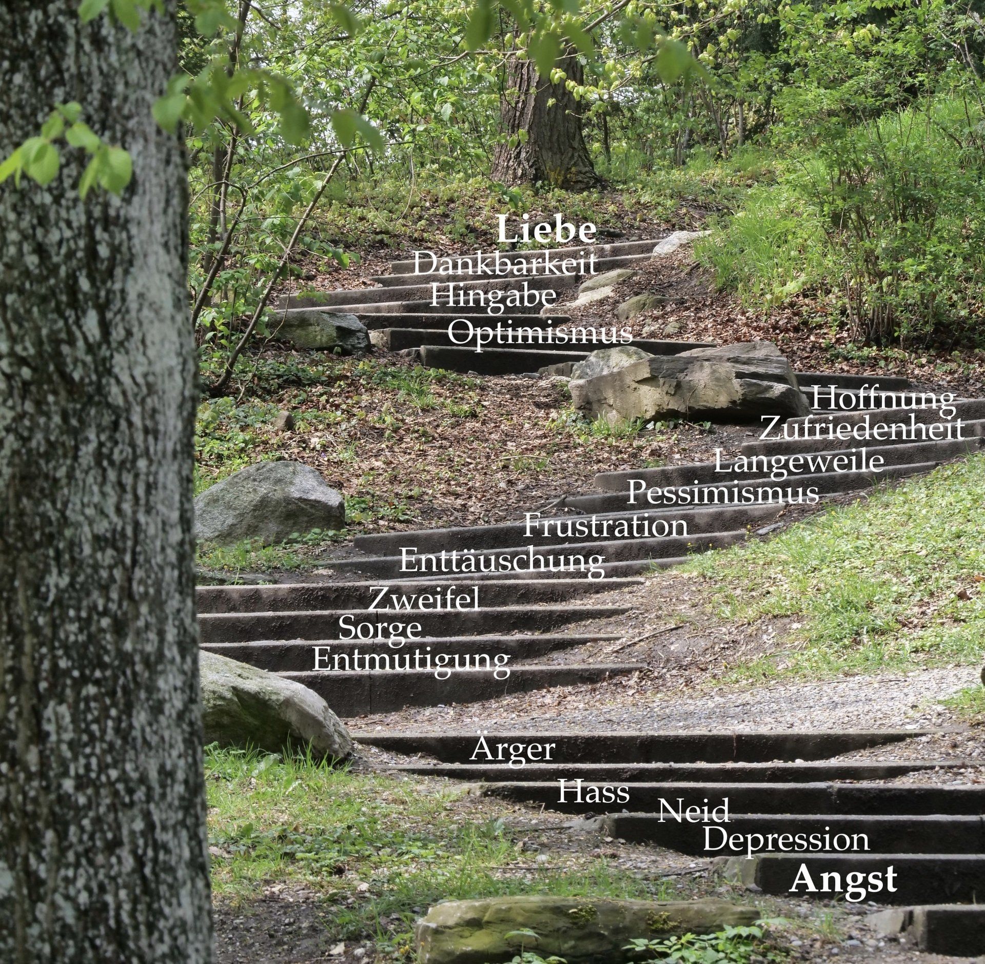 Es gibt viele Emotionen die unser Gemüt und unsere Situation beschreiben.