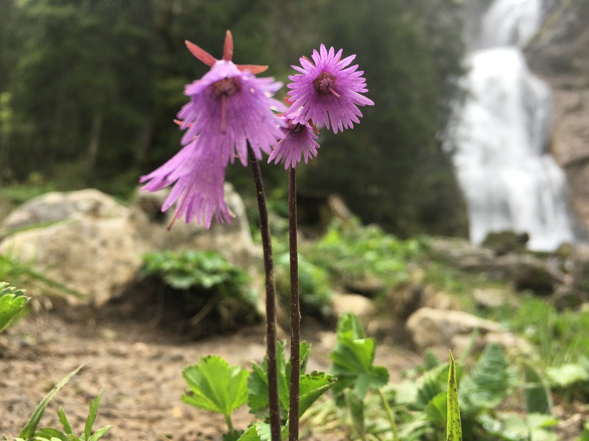 Perspektivenwechsel.