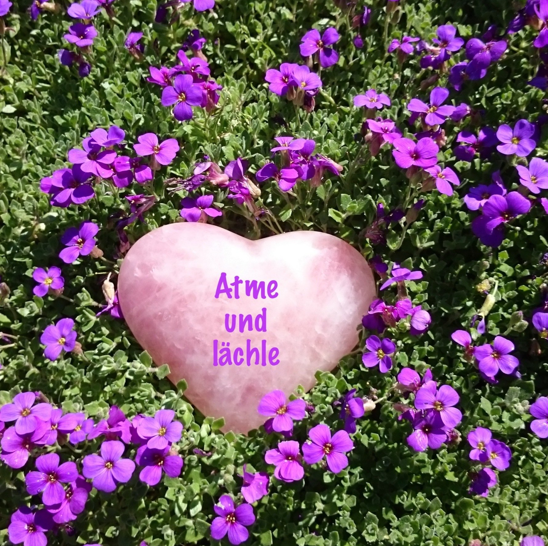 Klinkt Banal. Probier es mal aus! Setze dich an einen ruhigen Ort