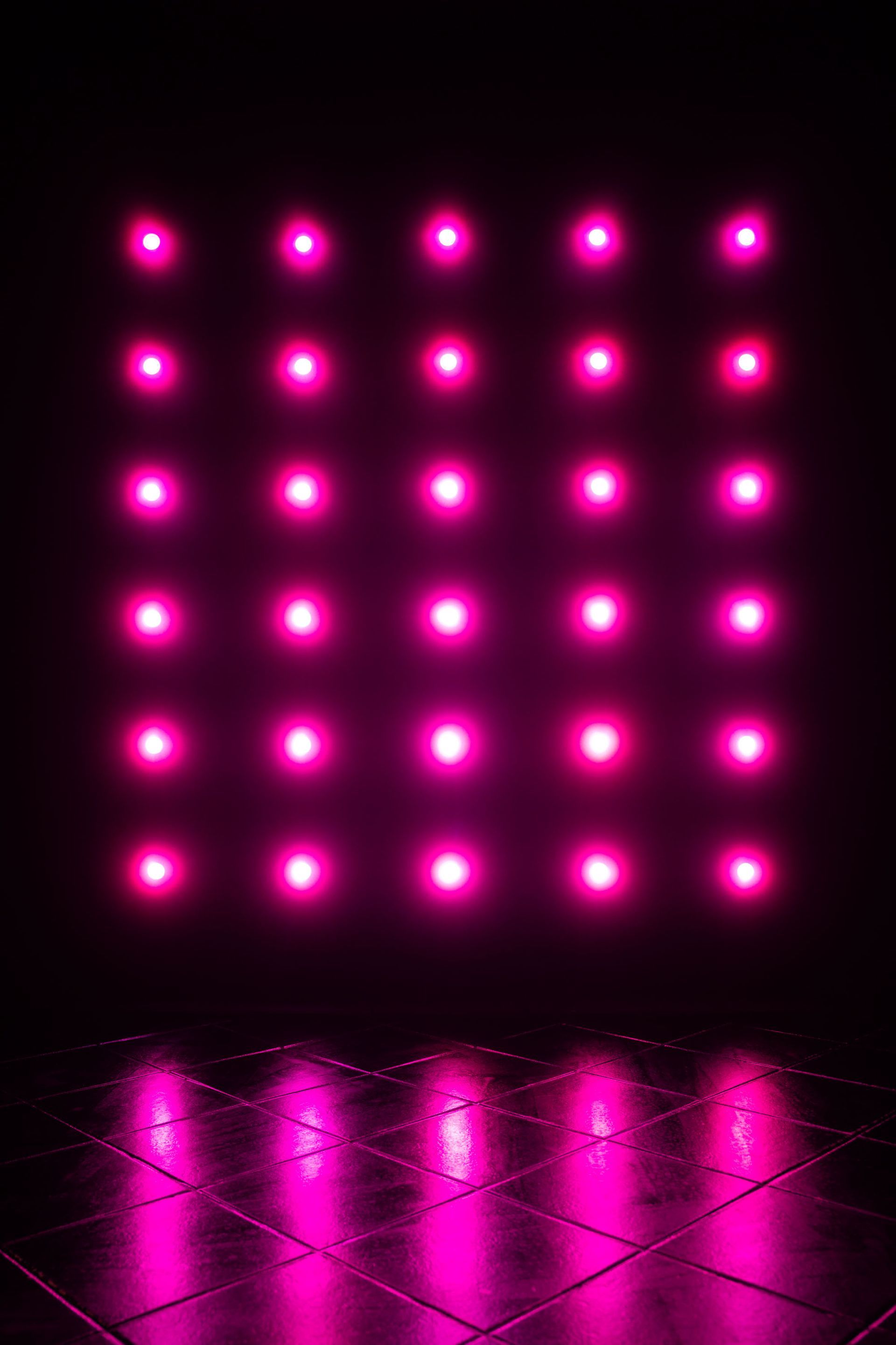 Kräftig pinke LED-Lichtwand mit spiegelndem Boden in der vielseitigen Black Room, Farben einzeln steuerbar
