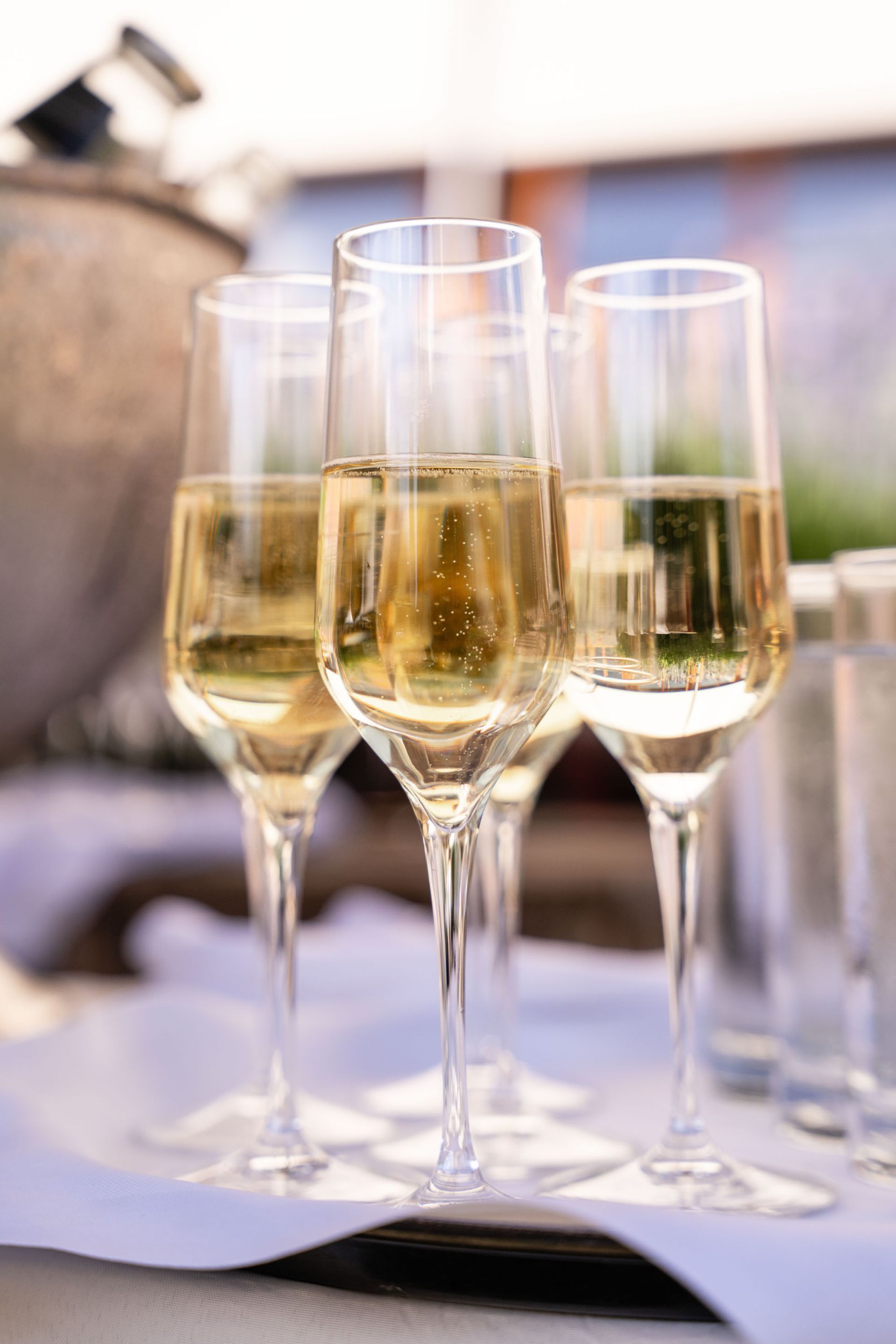 Sektempfang im
Kräutergarten der Orangerie des Kloster Bronnbach, Sektgläser