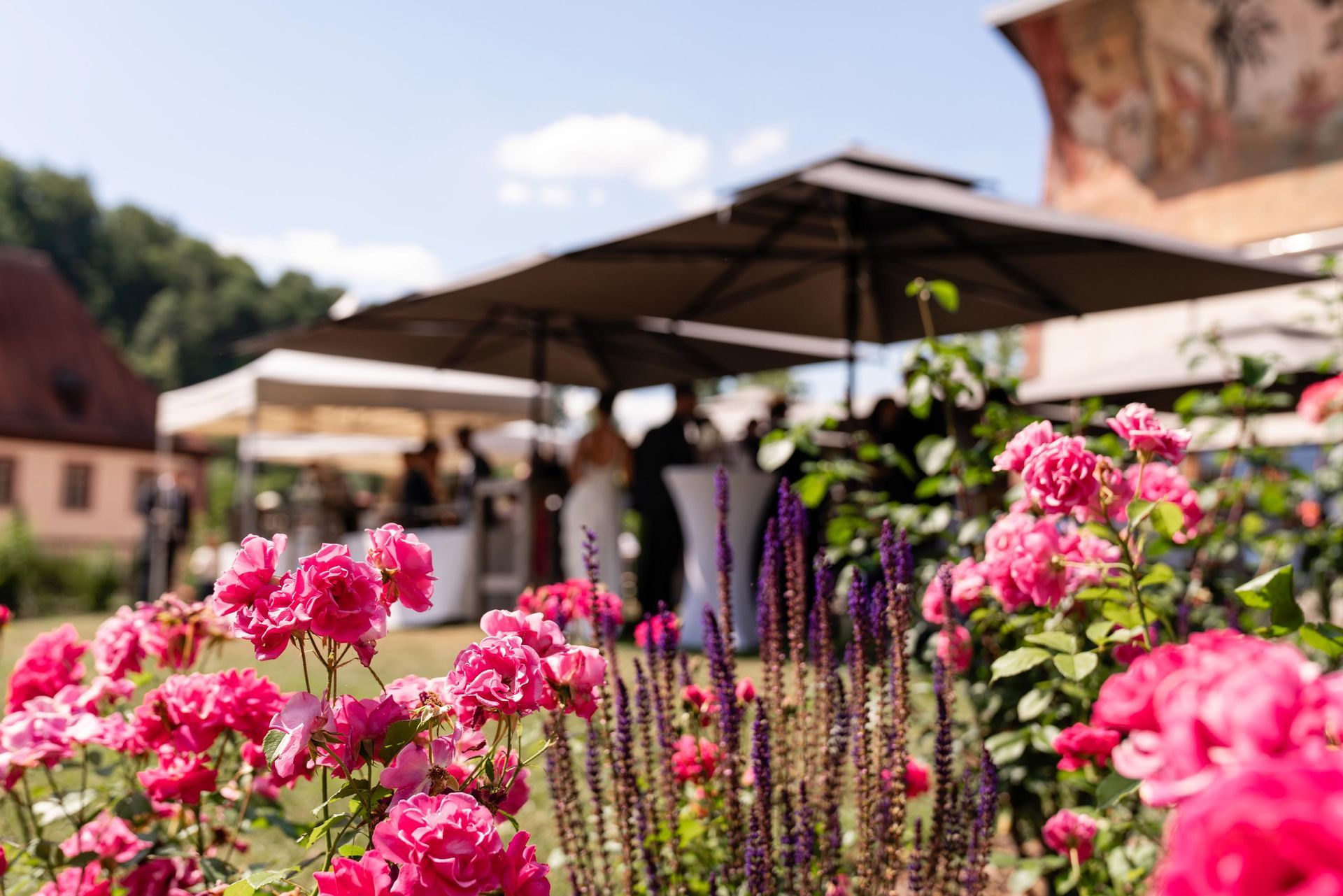 Sektempfang im
Kräutergarten der Orangerie des Kloster Bronnbach, Blumen Details